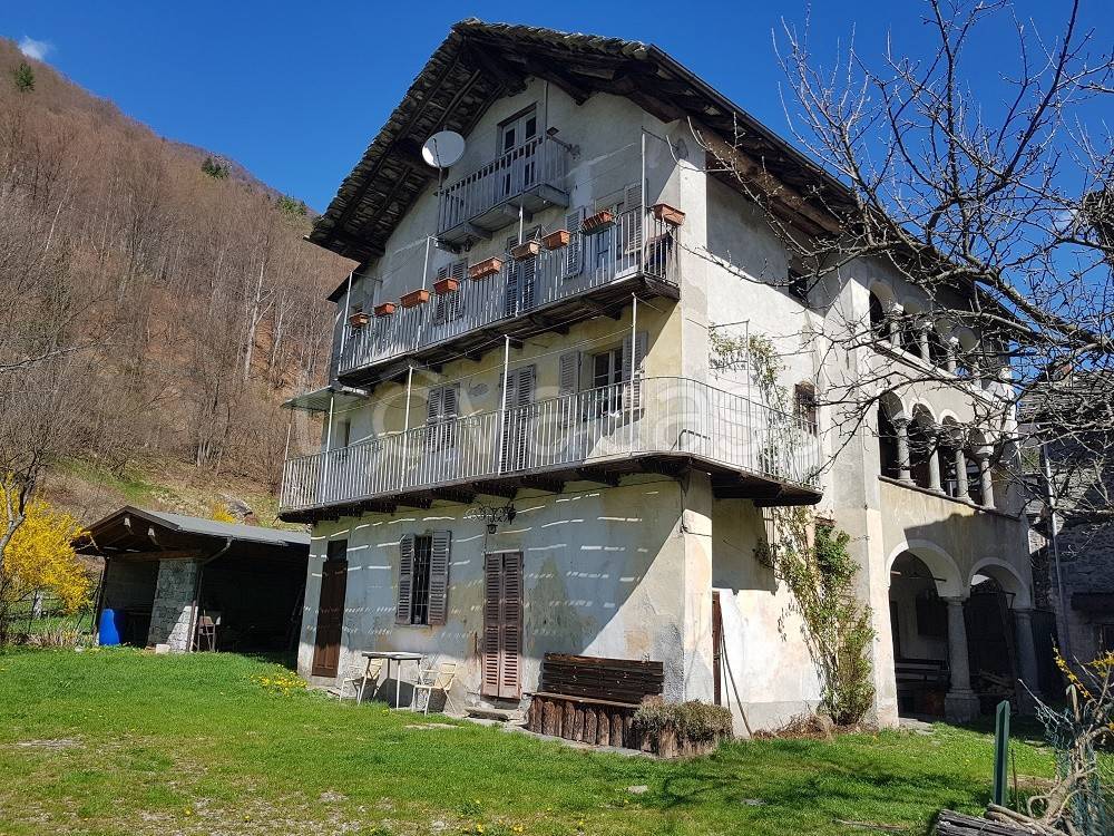 immagine annuncio 5 di 7