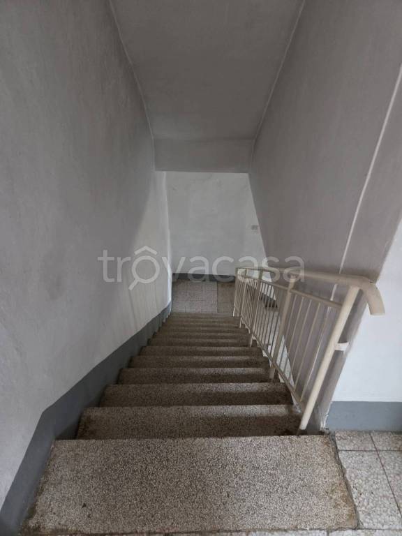 immagine annuncio 5 di 14