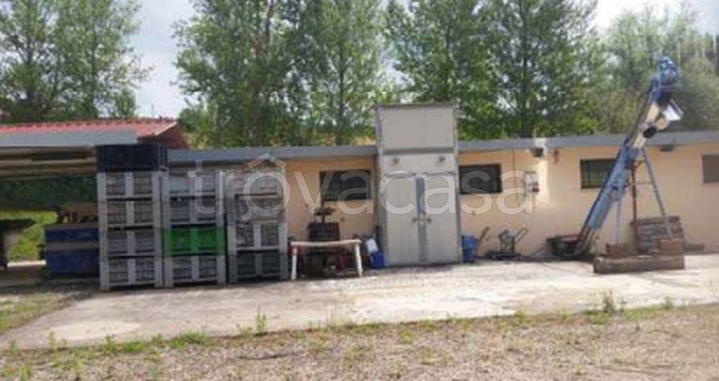 immagine annuncio 2 di 14