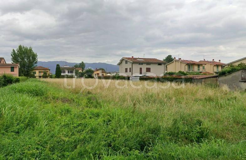 immagine annuncio 2 di 7