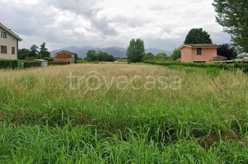 immagine annuncio 5 di 7