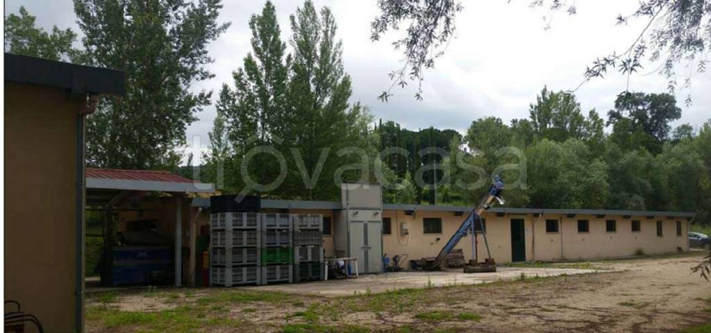 immagine annuncio 3 di 14