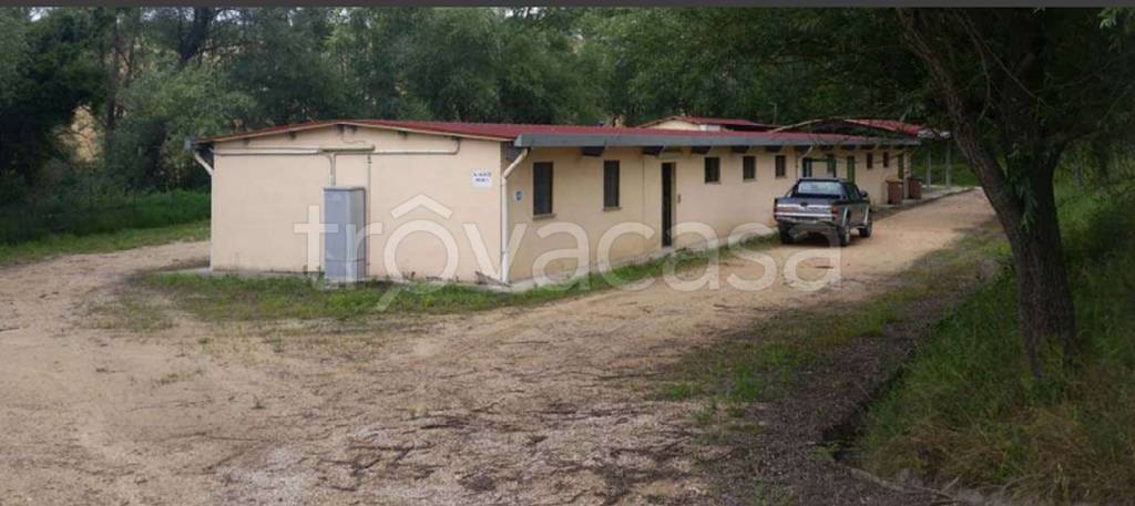 immagine annuncio 4 di 14