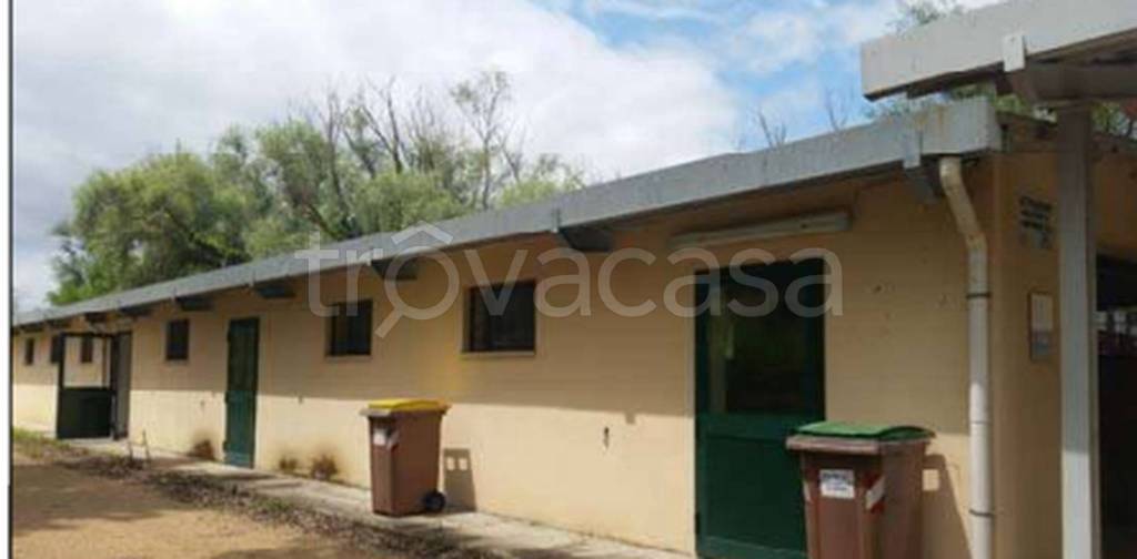 immagine annuncio 5 di 14