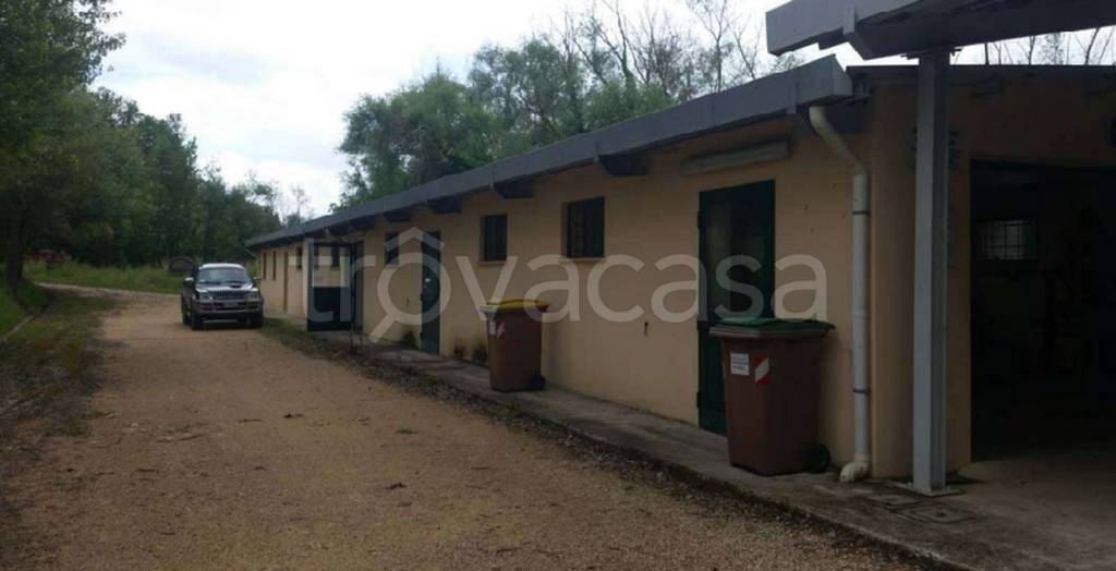 immagine annuncio 6 di 14