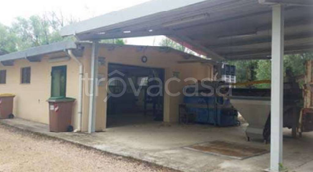 immagine annuncio 8 di 14