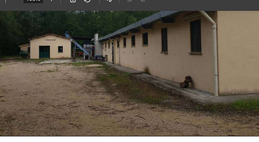 immagine annuncio 9 di 14