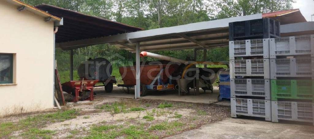 immagine annuncio 13 di 14