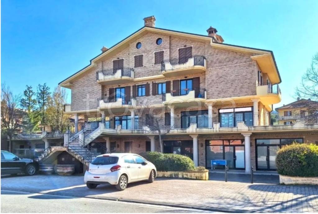 immagine annuncio 2 di 12