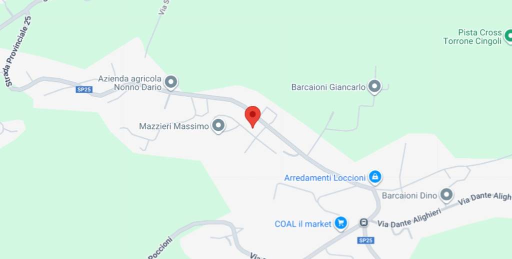 immagine annuncio 10 di 12