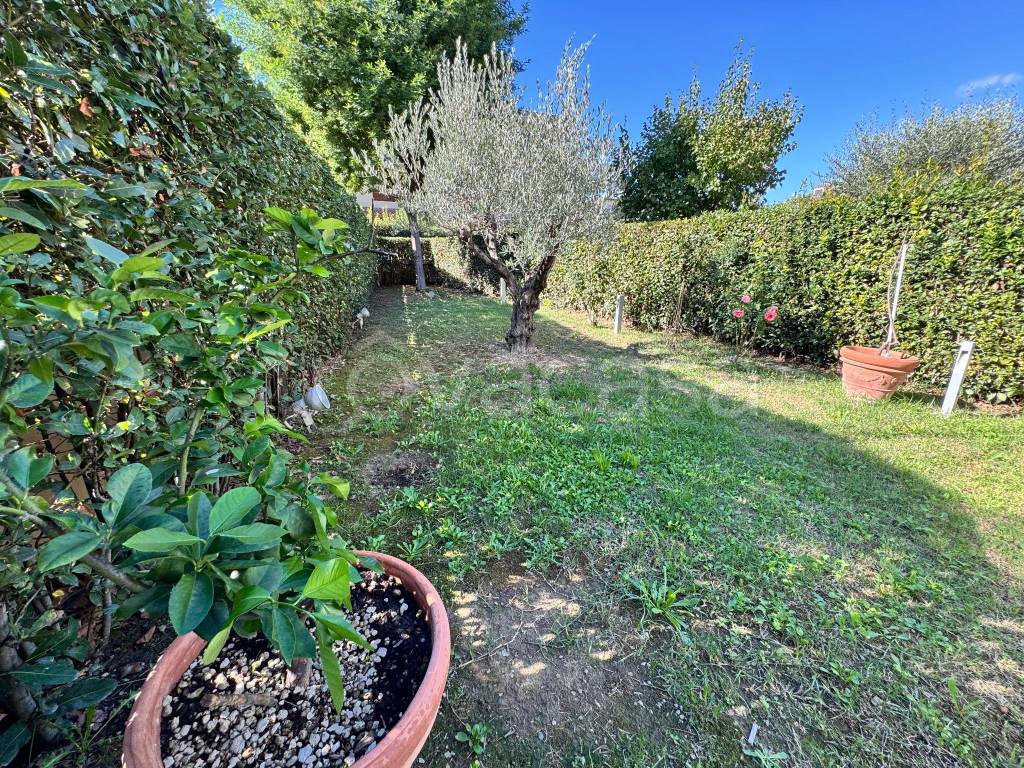 immagine annuncio 10 di 15