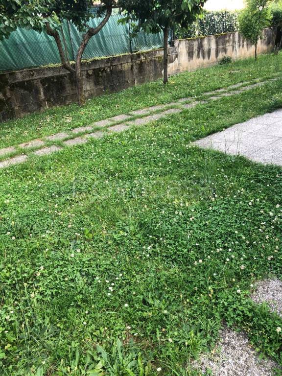 immagine annuncio 3 di 6