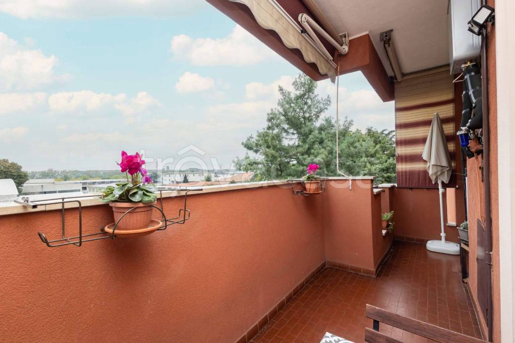 immagine annuncio 12 di 15