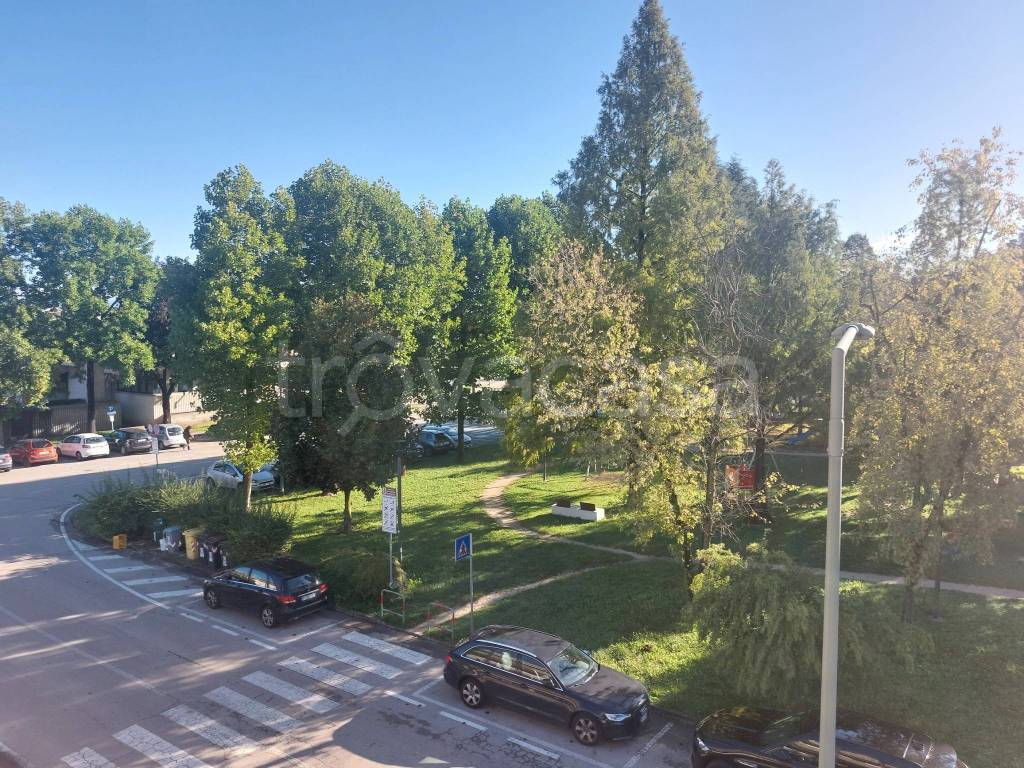 immagine annuncio 2 di 14