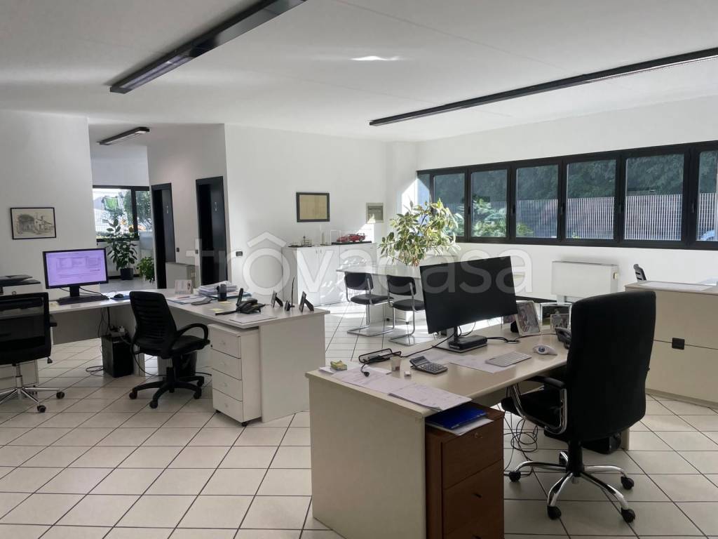 immagine annuncio 3 di 13