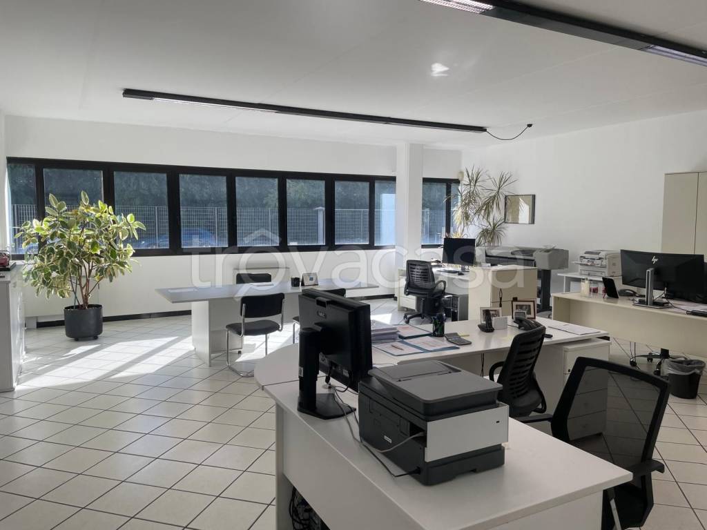 immagine annuncio 4 di 13