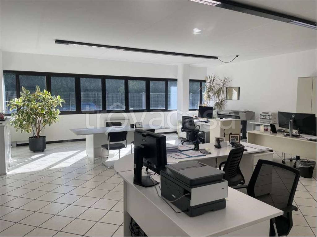 immagine annuncio 2 di 13