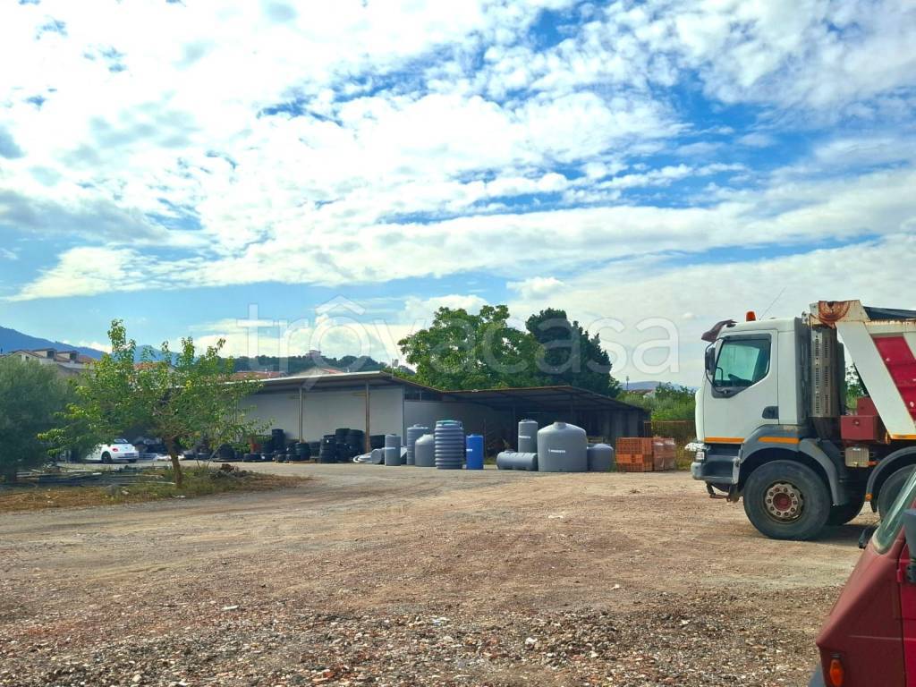 immagine annuncio 8 di 15