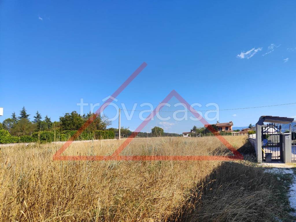 immagine annuncio 9 di 11