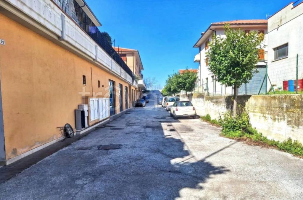 immagine annuncio 3 di 12