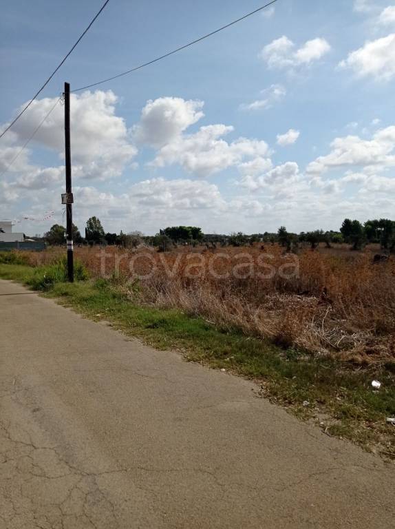 immagine annuncio 2 di 3