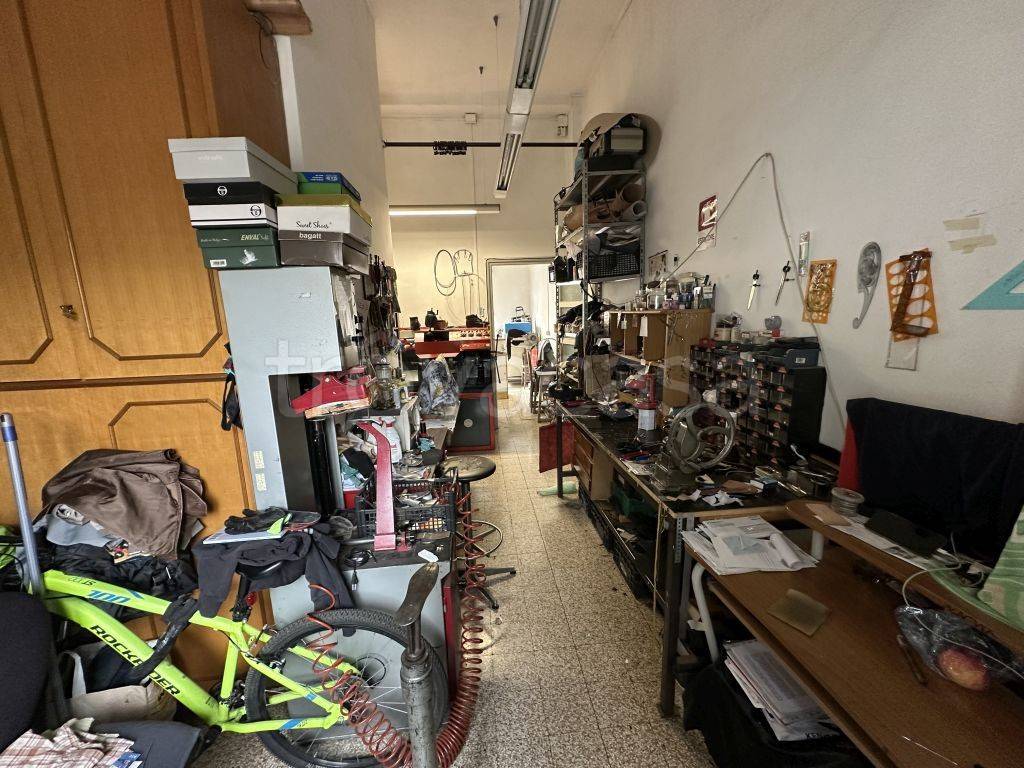 immagine annuncio 6 di 12