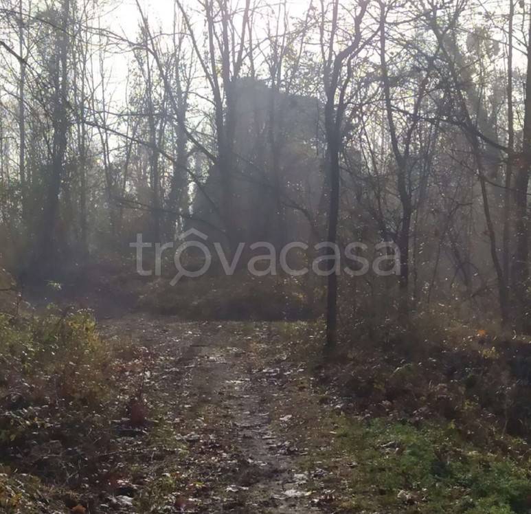 immagine annuncio 4 di 8