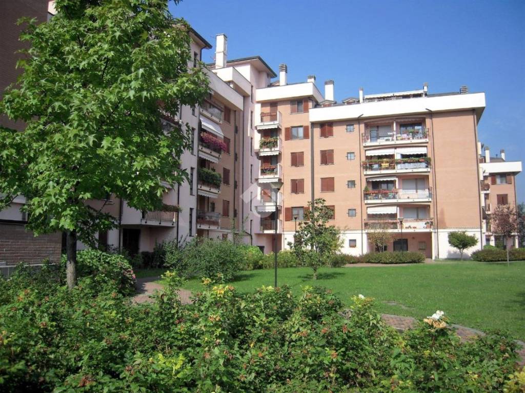 immagine annuncio 5 di 15