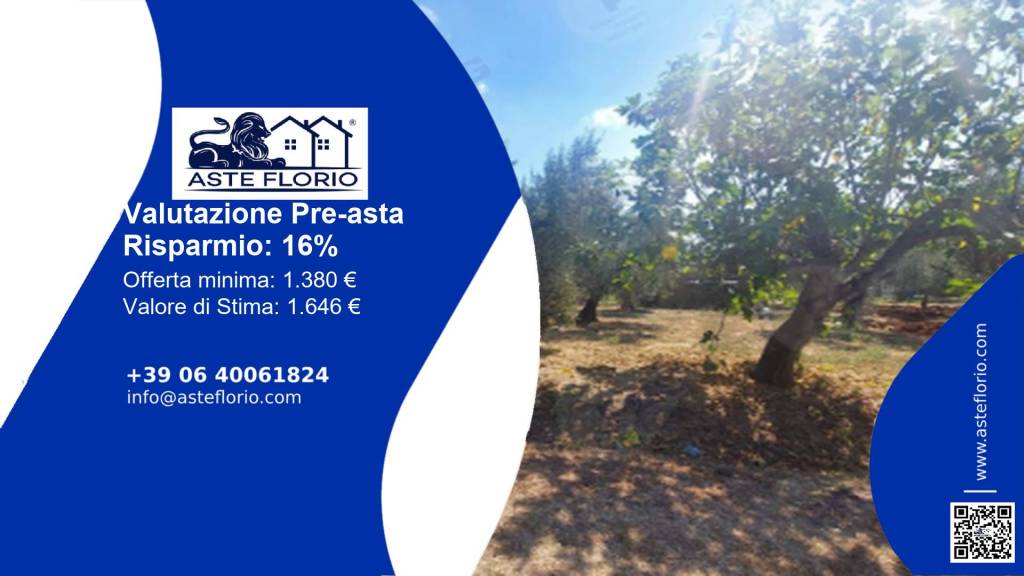 immagine annuncio 1 di 11