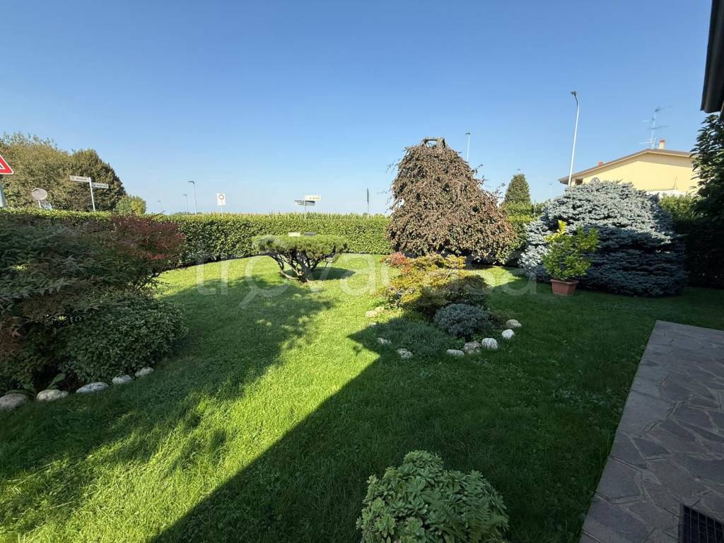 immagine annuncio 4 di 7