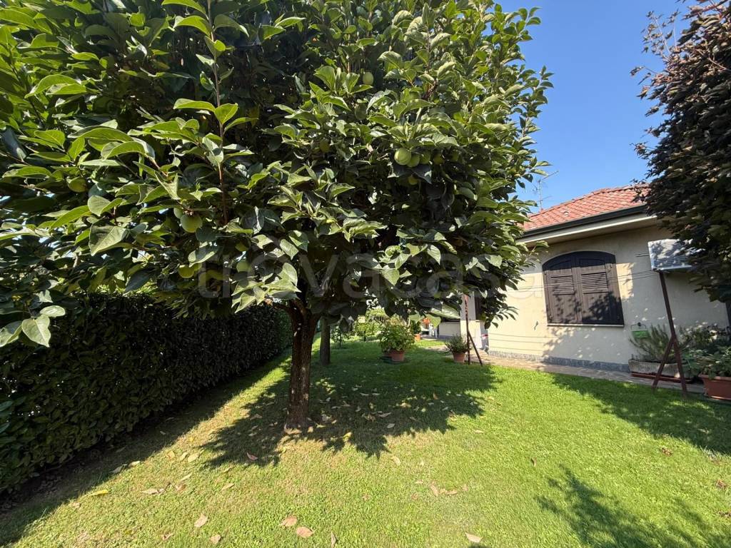 immagine annuncio 5 di 7