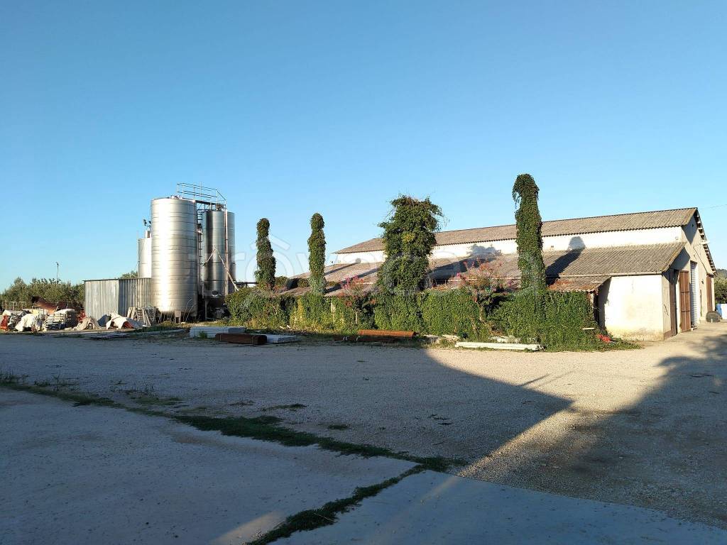 immagine annuncio 1 di 9