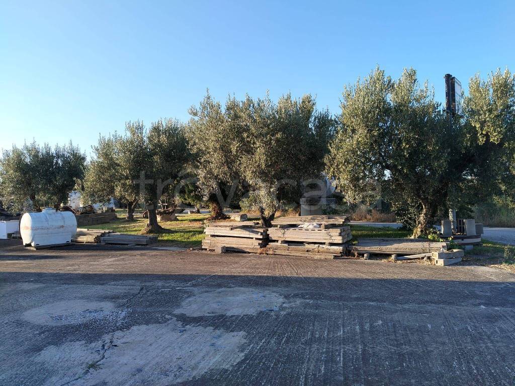 immagine annuncio 2 di 9