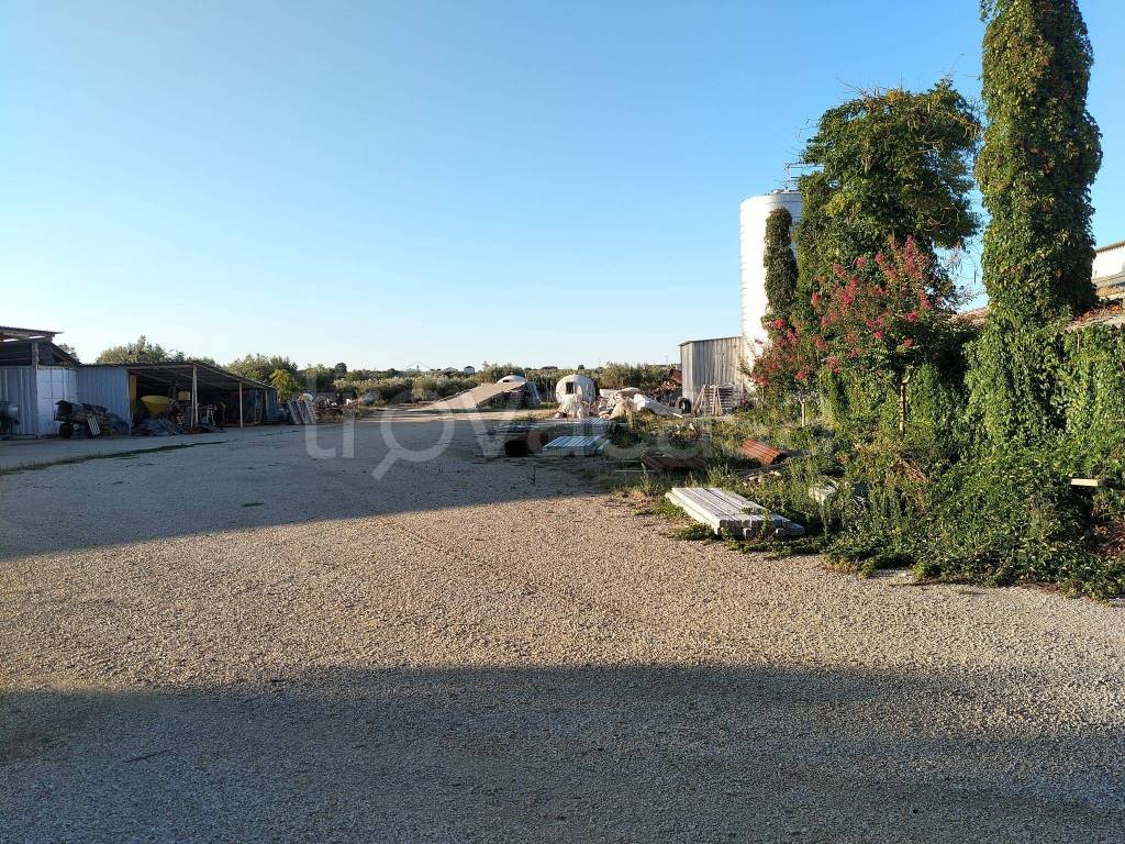 immagine annuncio 4 di 9