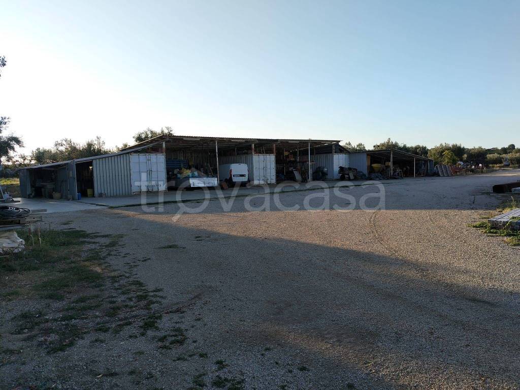 immagine annuncio 5 di 9