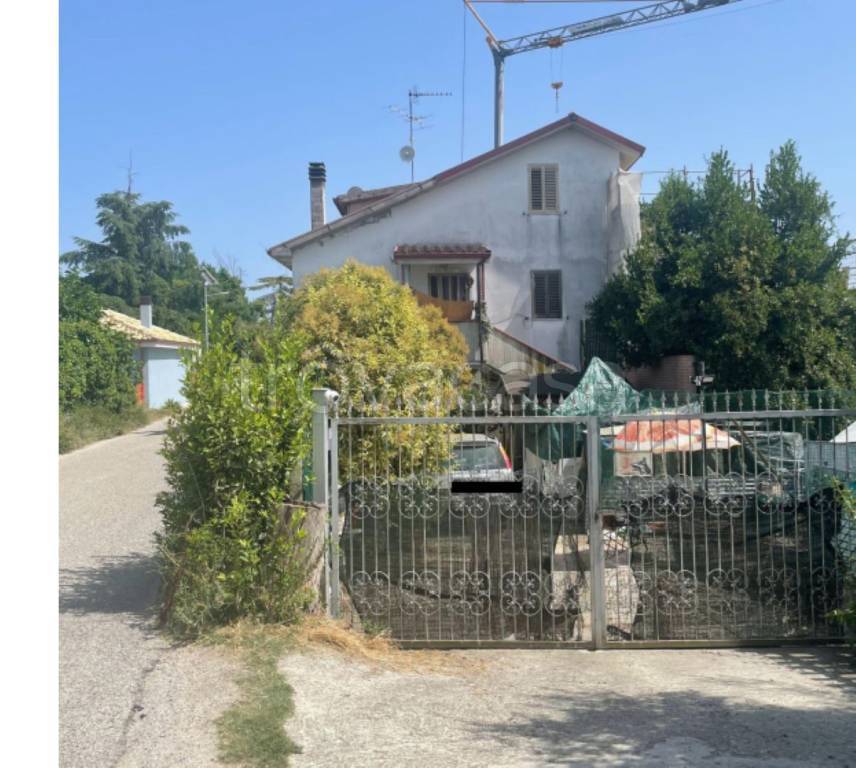 immagine annuncio 3 di 11