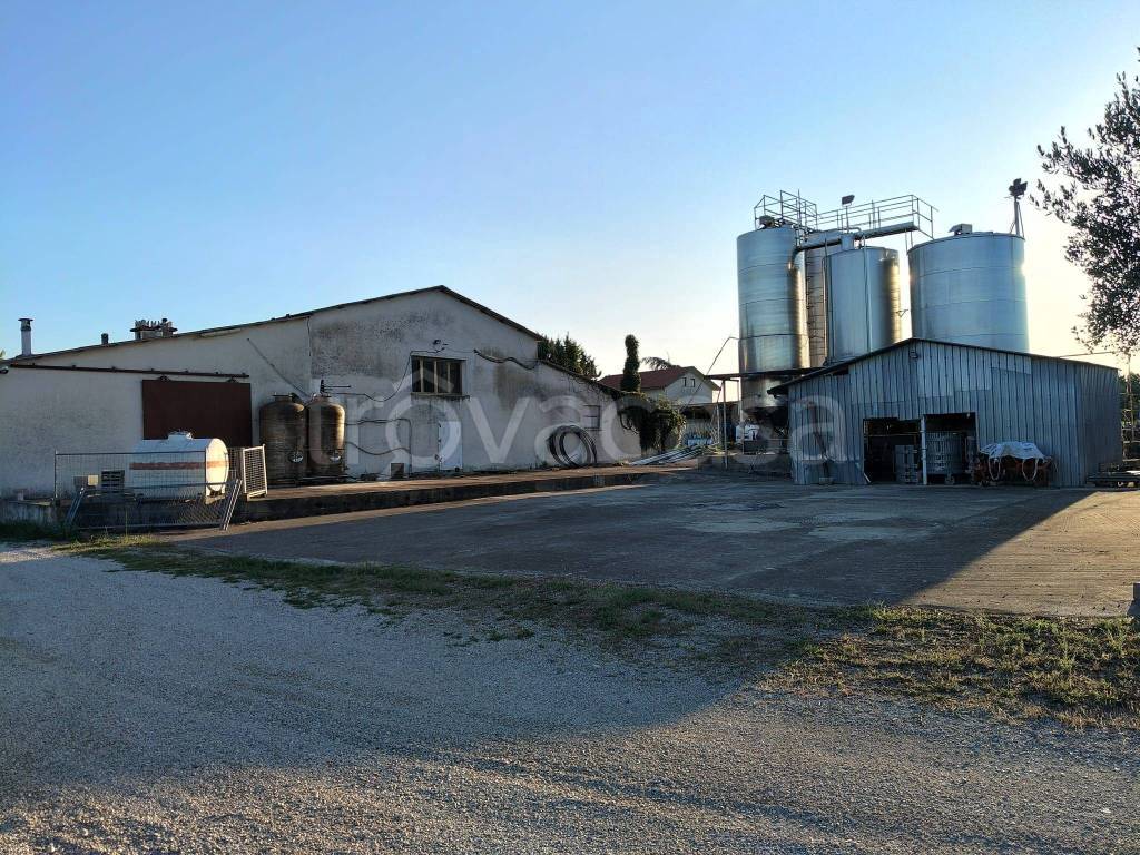 immagine annuncio 6 di 9