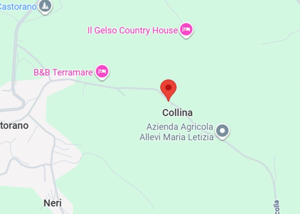 immagine annuncio 9 di 11