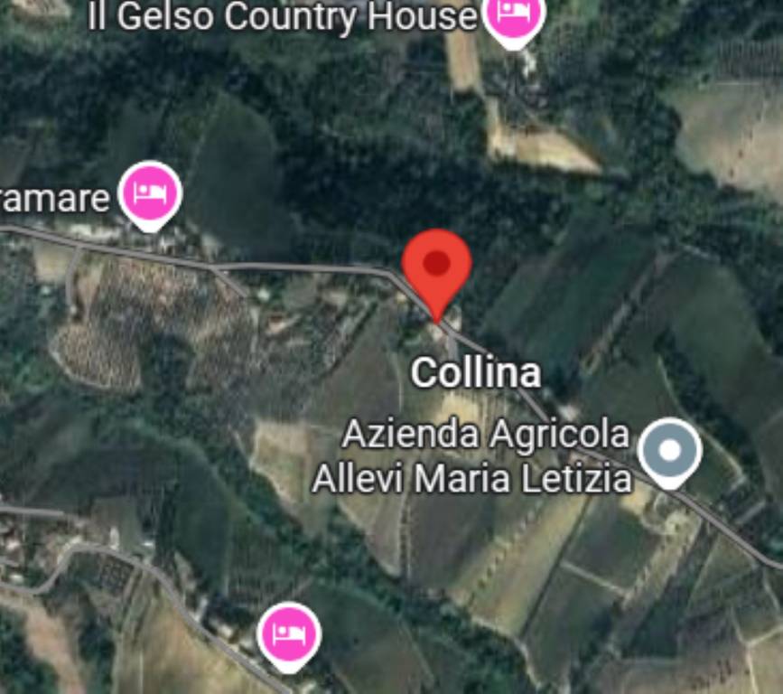 immagine annuncio 10 di 11