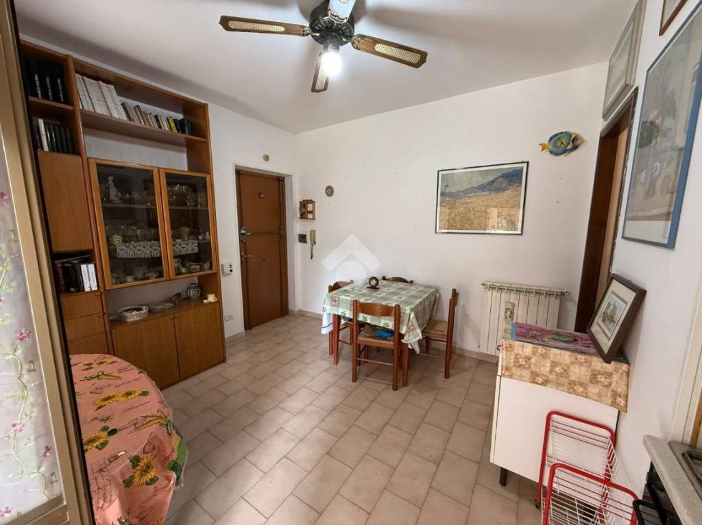 immagine annuncio 1 di 14