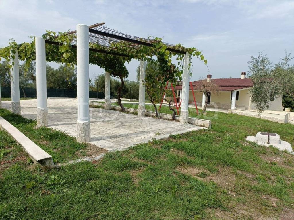 immagine annuncio 2 di 4