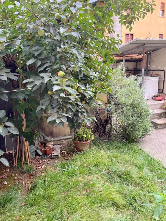 immagine annuncio 3 di 12