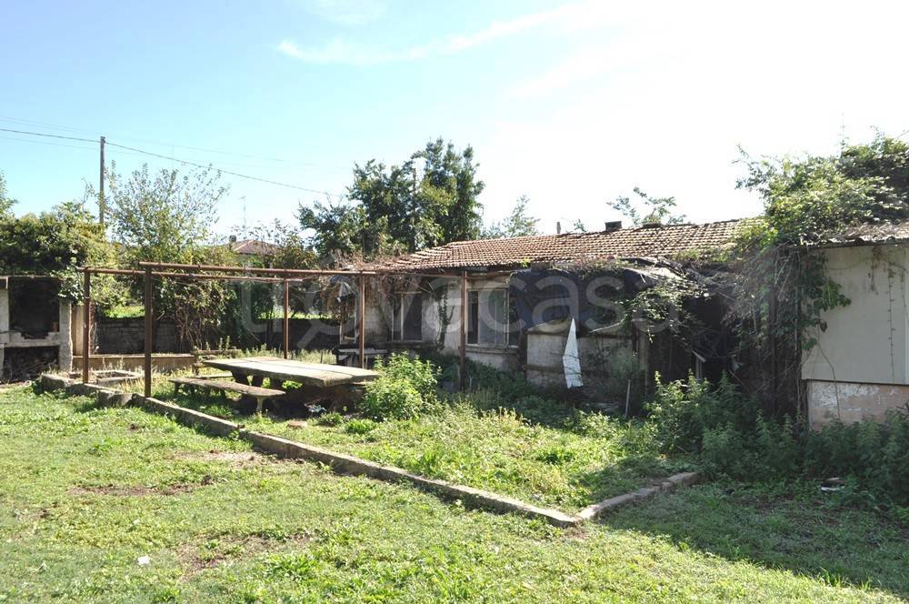 immagine annuncio 11 di 13