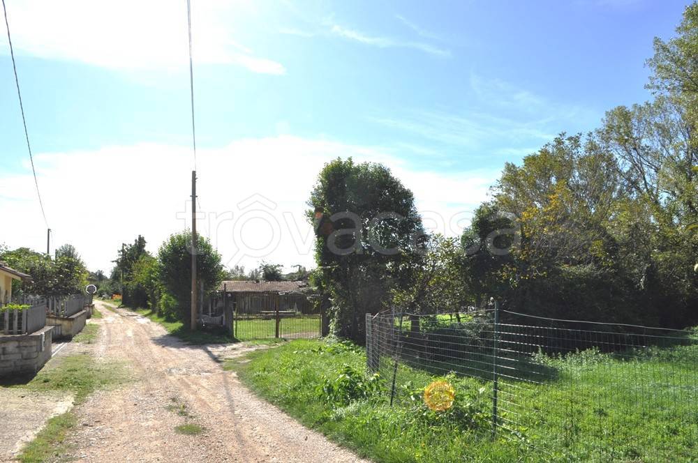 immagine annuncio 12 di 13