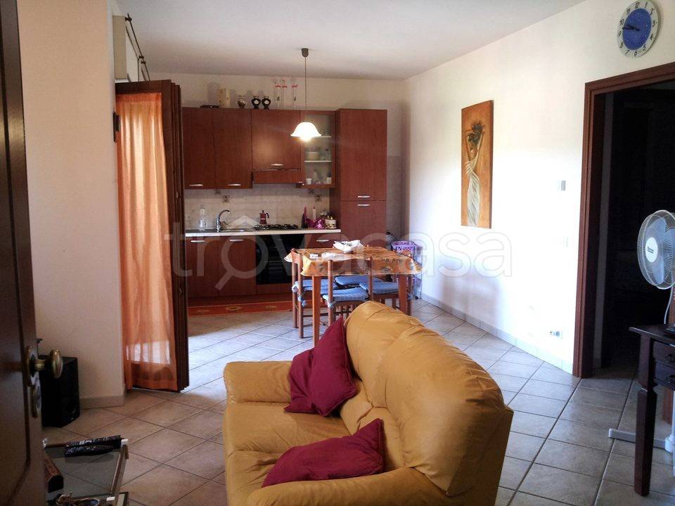 immagine annuncio 2 di 12