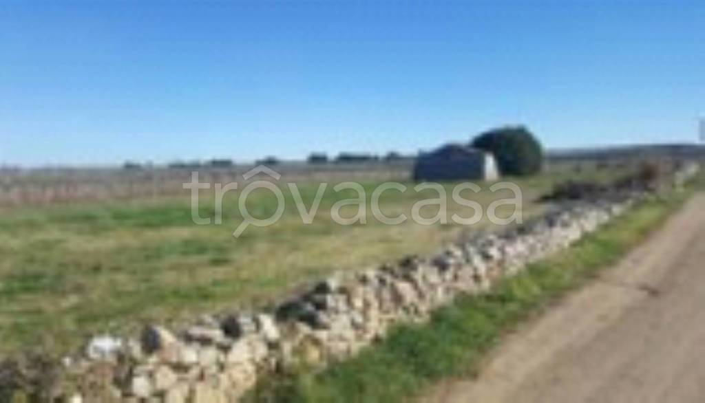 immagine annuncio 7 di 11