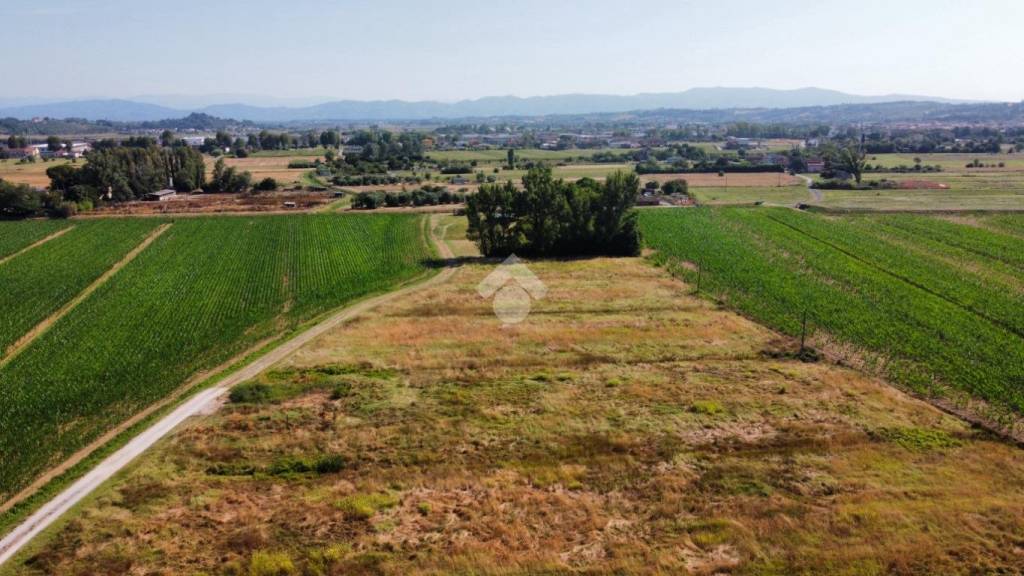 immagine annuncio 5 di 14