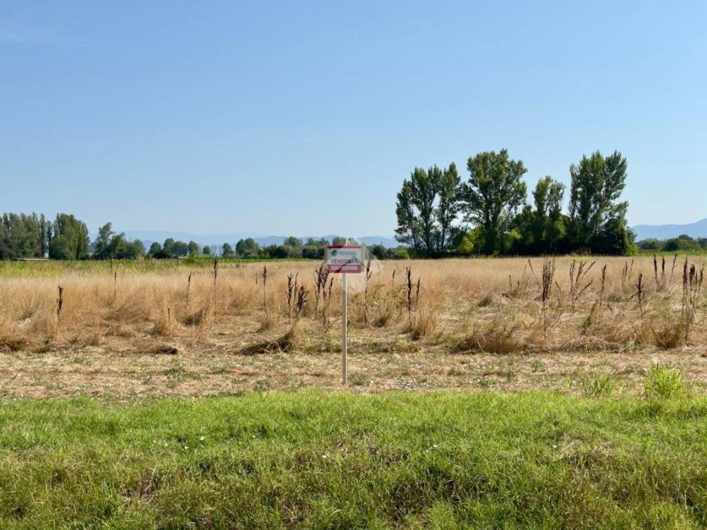 immagine annuncio 7 di 14