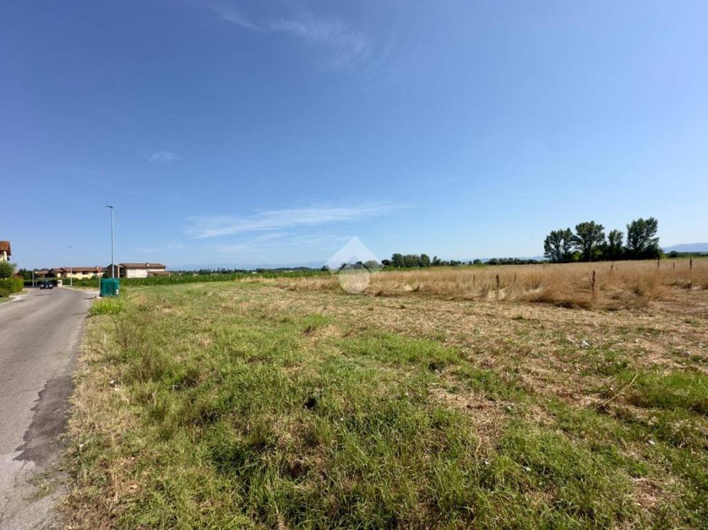 immagine annuncio 8 di 14