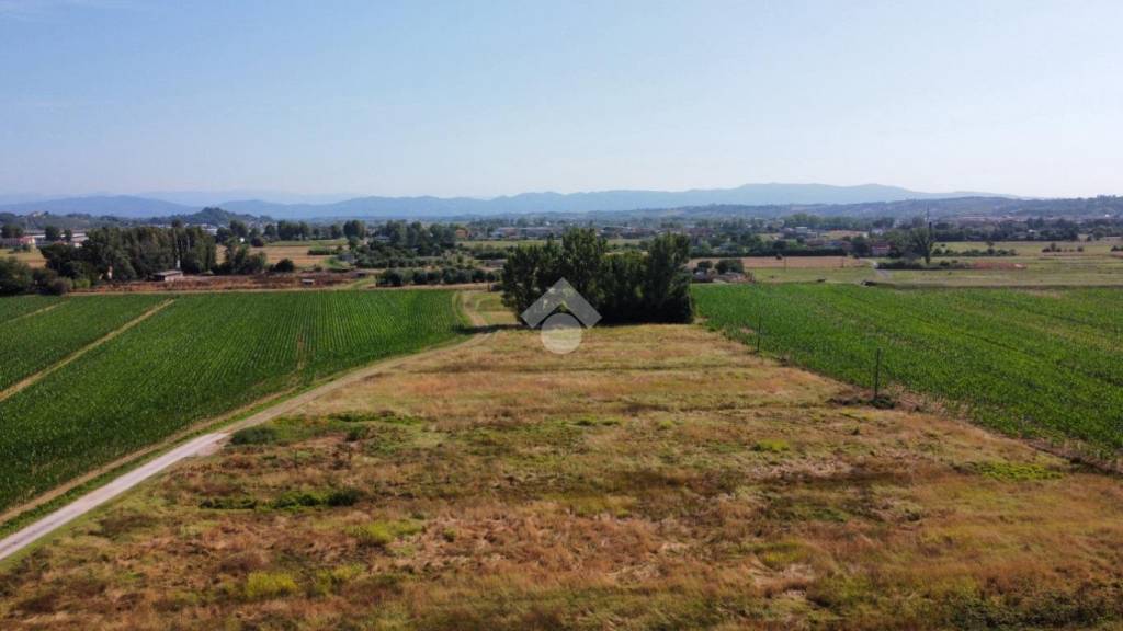 immagine annuncio 10 di 14